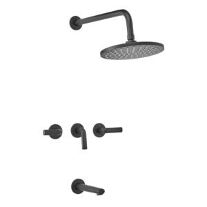 GRIF PEIRANO LIVE DUCHA BICOMANDO NEGRO (80-199N)